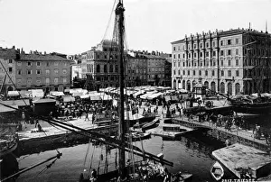 Ponte: Trieste