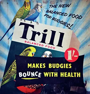 Balanced: Trill balanced food for budgies