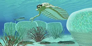 Cambrian: Trilobites try to hide from predator Opabinia