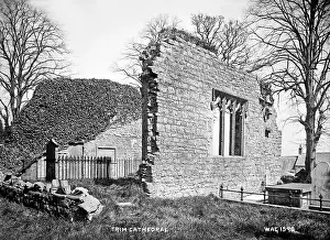 Stump: Trim Cathedral