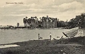 Trincomalee: Trincomalee Bay, Ceylon (Sri Lanka)