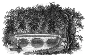 Punt: TRINITY COLLEGE BRIDGE