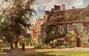 Vines: Trinity Hall at Cambridge University. Cambridge