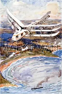 Surprisingly: TRIPLANE AIR LINER