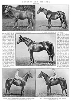 Bayardo: Triple-crown winner, Gainsborough