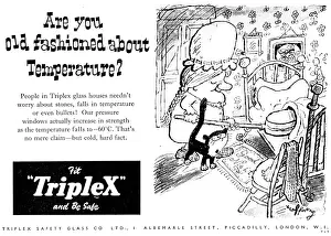 Triplex: Triplex Aircraft Windscreens & Transparencies