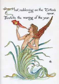 Triton: Triton's Spear - Kniphofia