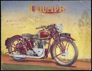 Amaranth: Triumph Catalogue