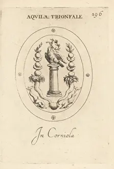 Corniola: Triumphal eagle with laurel wreath on a column
