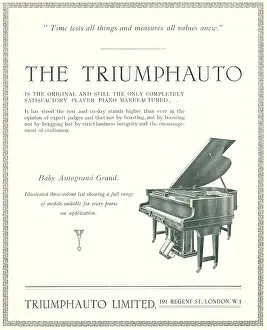 Reknowned: The Triumphauto Advertisement