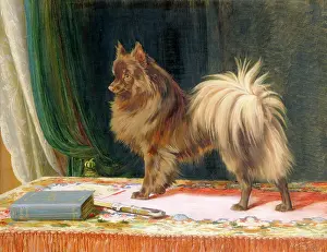 Brodsworth: Trood - Portrait of Prairie Prince