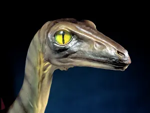 Grasp: Troodon