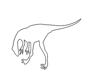 Troodon: Troodon