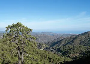 Marathasa: Troodos mountains, Cyprus