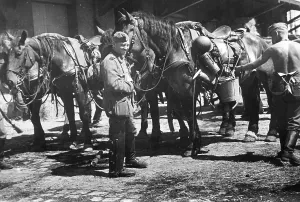 Everywhere: Troop transport trains are being loaded, 1939