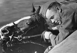 Horsemen: Trooper of the Wehrmacht while crossing a river in the 3