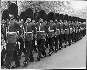 Bearskins: TROOPING THE COLOUR