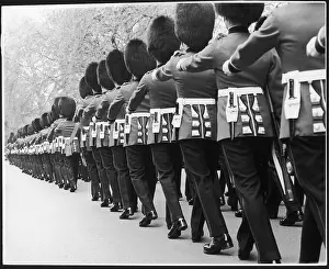Bill Coward: TROOPING THE COLOUR