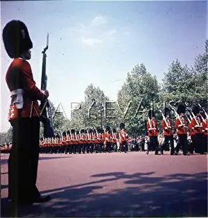 Bayonette: TROOPING THE COLOUR