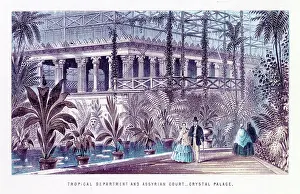 Sydenham: TROPICAL AND ASSYRIAN, CRYSTAL PALACE