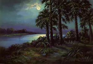 Streams: Tropical Moon