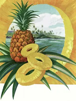 Pineapple: Tropical Pineapple