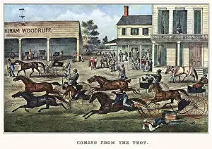 Trot: In from the Trot