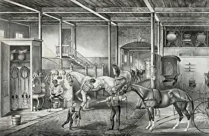 Trotting: Trotting cracks at home, a model stable