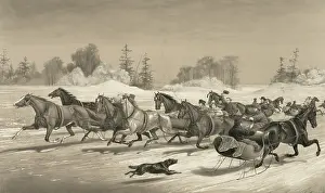 C1858: Trotting cracks on the snow