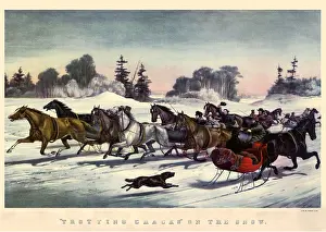 Sledding: Trotting Cracks on The Snow