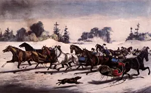 Trotting: Trotting Cracks on The Snow