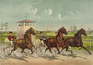 C1890: Trotting for a great stake