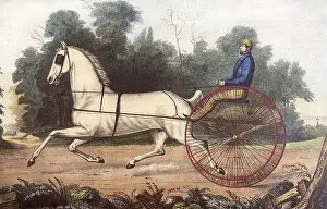 Blinders: Trotting Horse and Driver