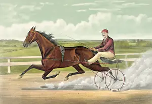 Alix: Trotting Queen Alix: record 2:03 3/4