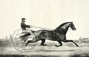 Townsend: Trotting stallion Tom Moore driven by Danl. Mace: sired by H