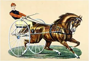 Sulky: TROTTING WITH SULKY