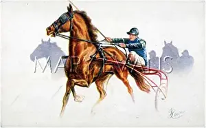 Sulky: TROTTING WITH SULKY