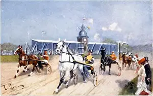Sulky: TROTTING WITH SULKY
