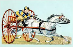 Sulky: TROTTING WITH SULKY