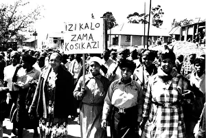 Cato: Trouble in Natal - South Africa