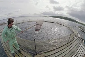 Employee: Trout farm Kivach