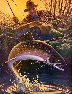 Peers: Trout on Line