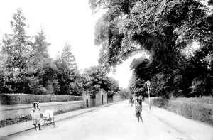 Trowbridge: Trowbridge, Hilperton Road 1907