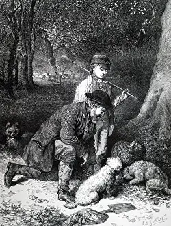 1869: Truffle hunting, using dogs to smell out truffles