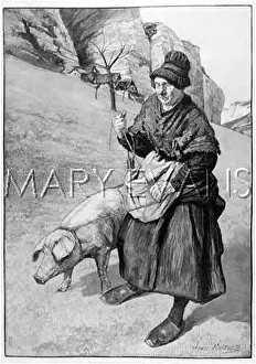 Truffles: TRUFFLE WOMAN 1893