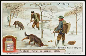 Truffles: TRUFFLES LIEBIG 1