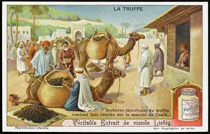 Truffles: TRUFFLES LIEBIG 6