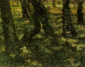 Undergrowth: Trunks of Trees with Ivy, by Van Gogh