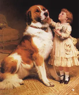 Quietly: Trust