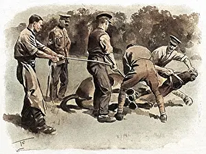 Unruly: Trying to shoe a mule, WW1